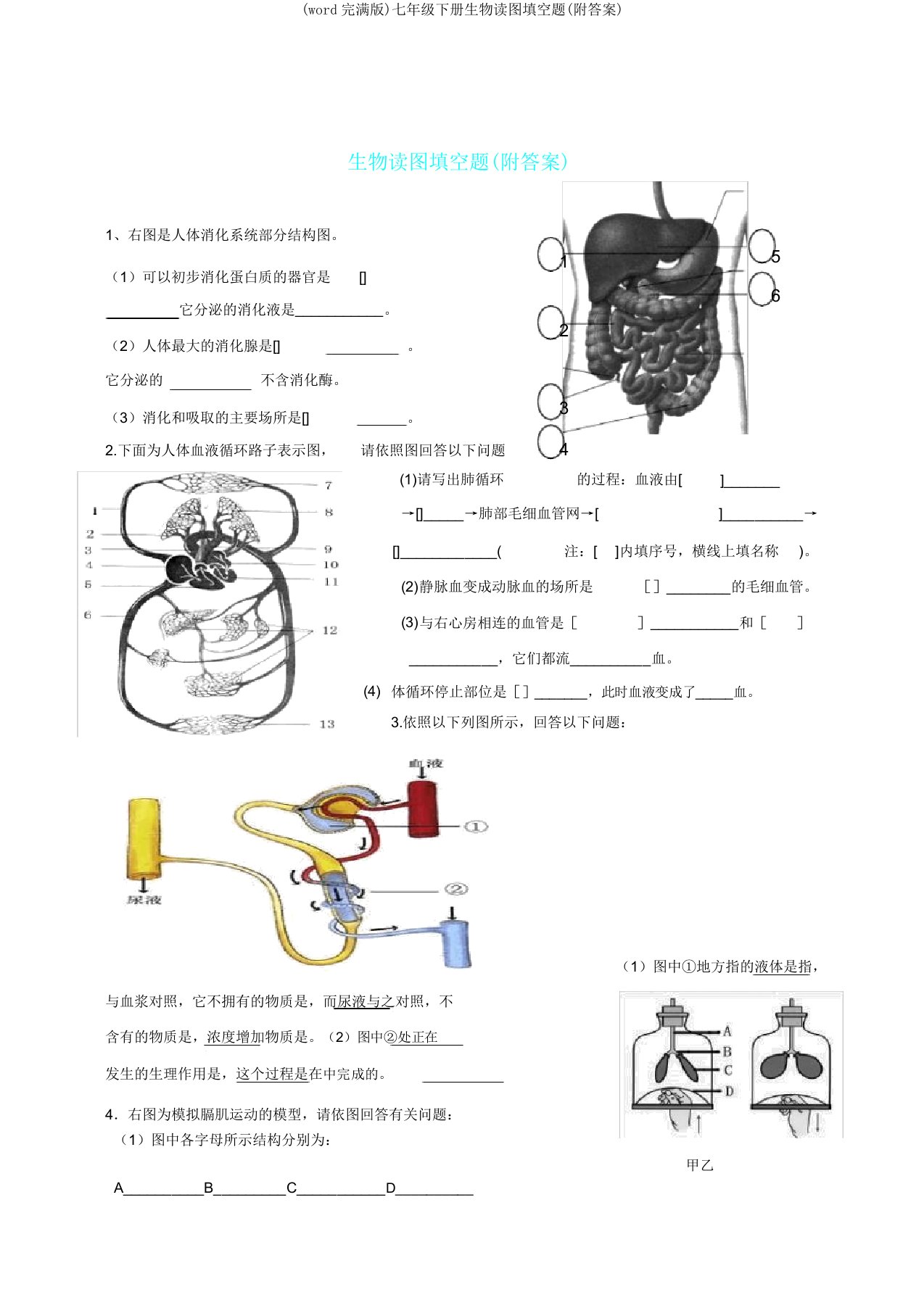 七年级下册生物读图填空题