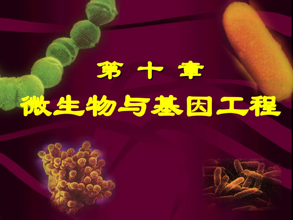 微生物与基因工程课件