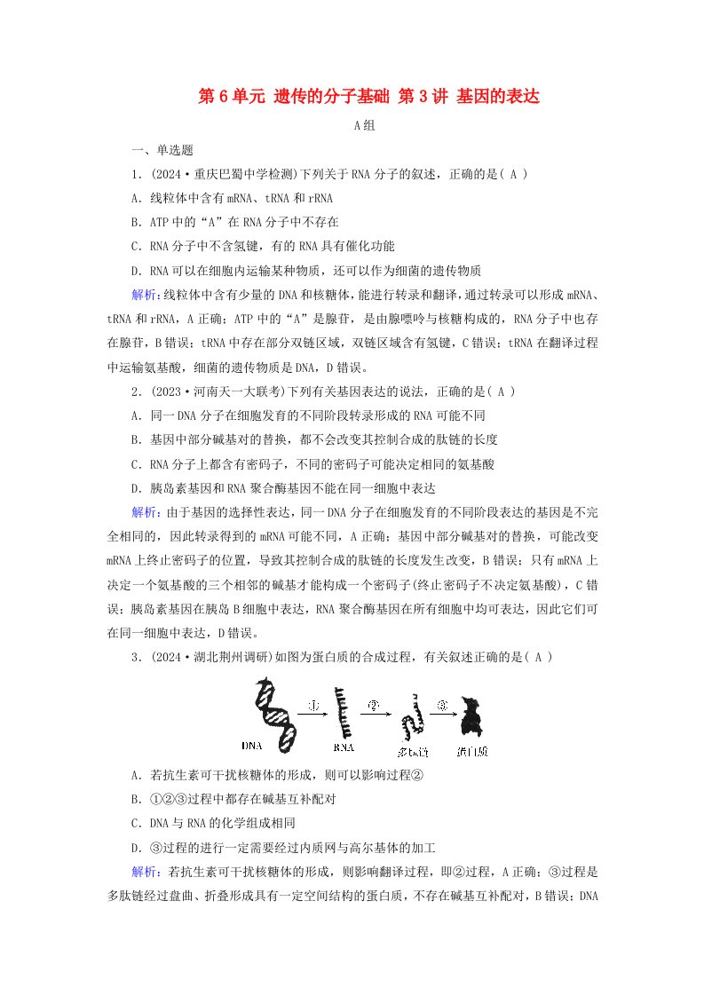 2025版高考生物一轮总复习必修2第6单元遗传的分子基础第3讲基因的表达提能训练