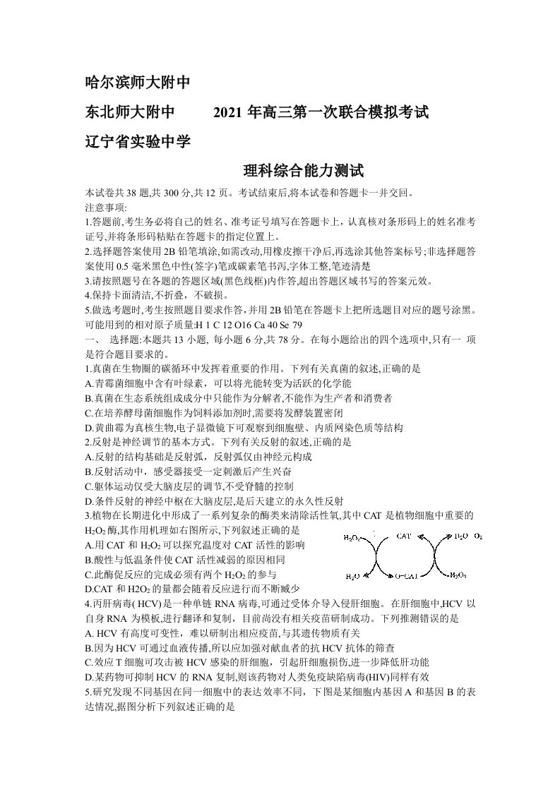 东北三省三校（哈师大附中、东北师大附中、辽宁省实验中学）2021届高三第一次模拟考试