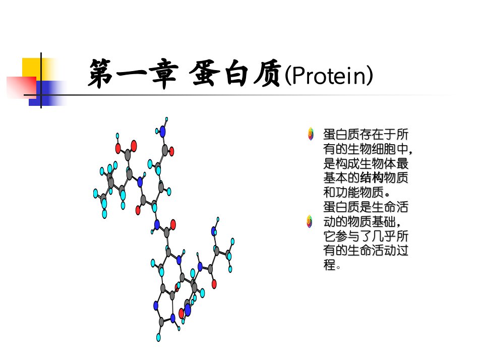 生物化学第一章蛋白质