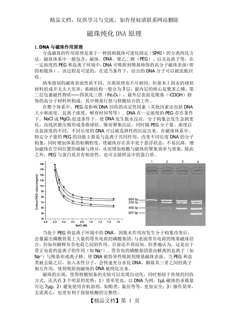 磁珠提取DNA原理