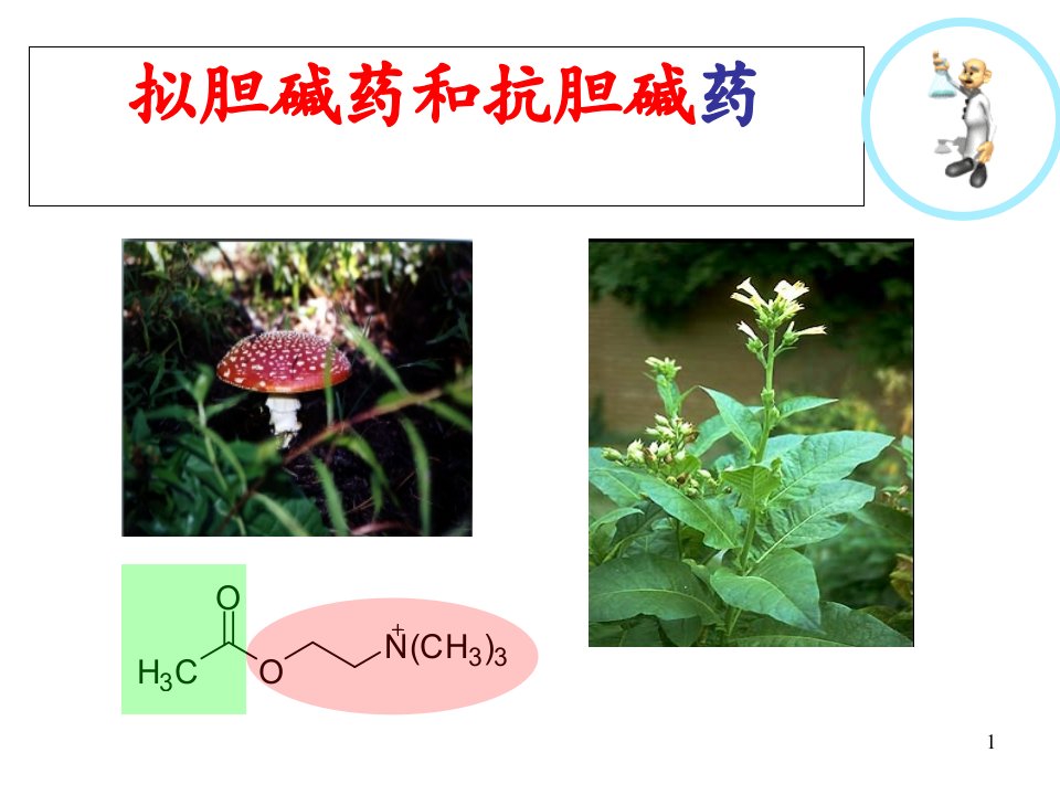 《药物化学基础(中职药剂专业)》拟胆碱药和抗胆碱药精要课件