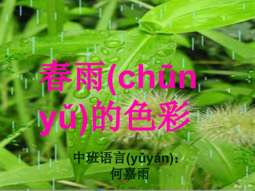 中班语言活动春雨的色彩课件说课讲解