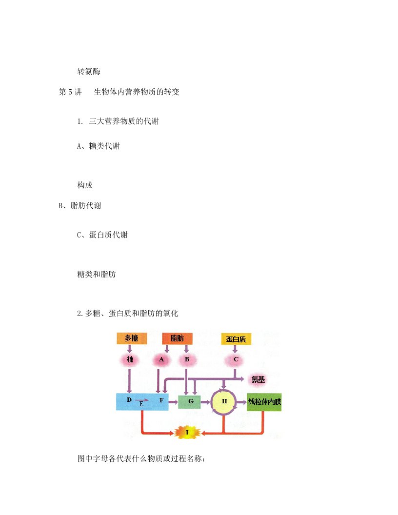 第5讲++生物体内营养物质的转变