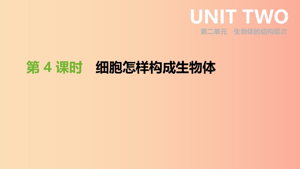 内蒙古包头市2019年中考生物第二单元生物体的结构层次第04课时细胞怎样构成生物体复习课件