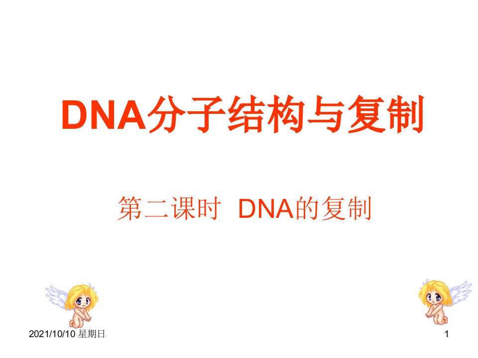 生物：4.2《DNA分子结构与复制第二课时》课件(苏教版必修2)