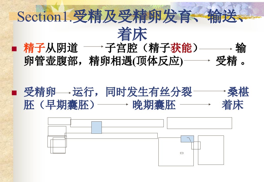 最新妊娠生理妇产科教学课件PPT课件