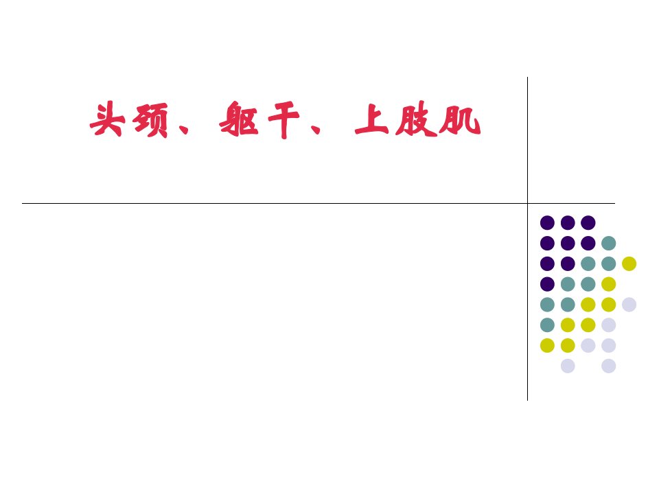 人体解剖学上肢肌课件2