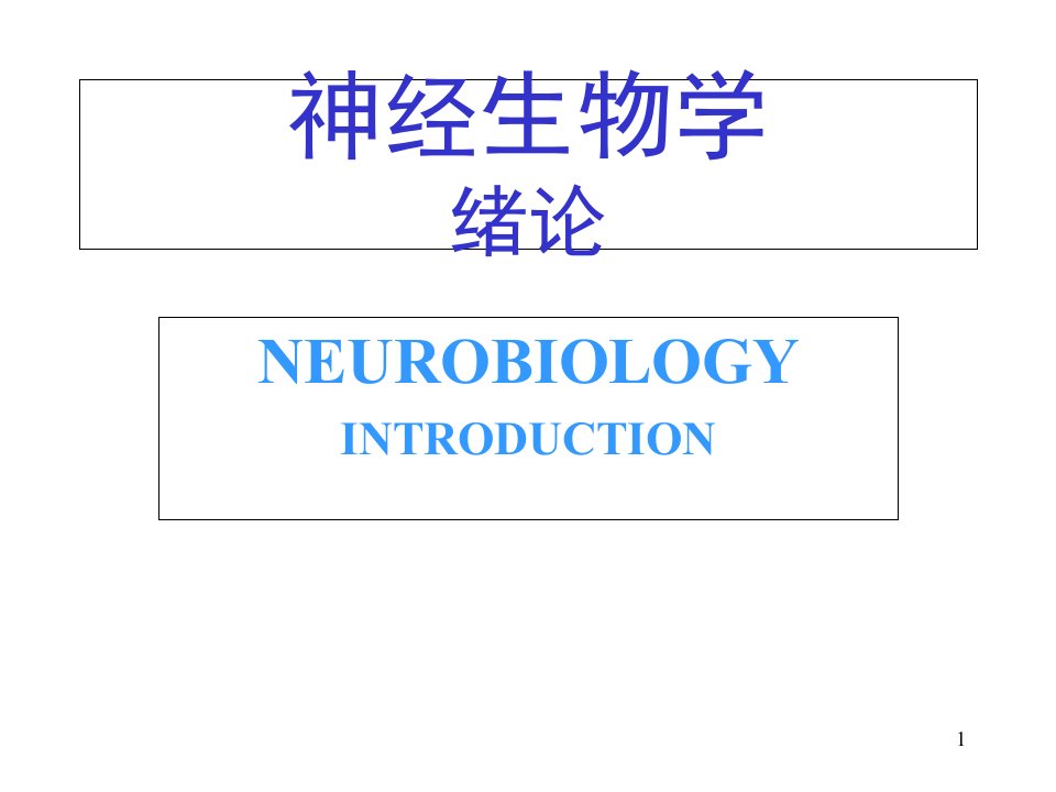 医学研究生神经系统生物