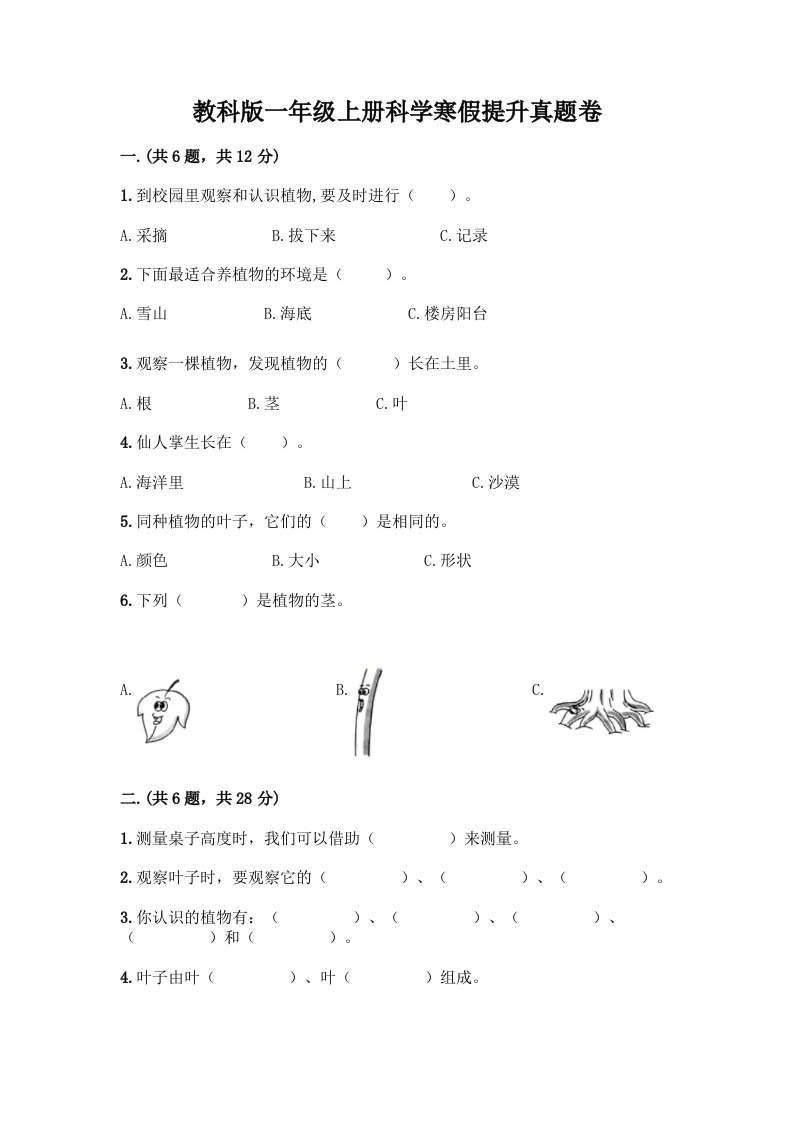 教科版一年级上册科学寒假提升真题卷及1套完整答案