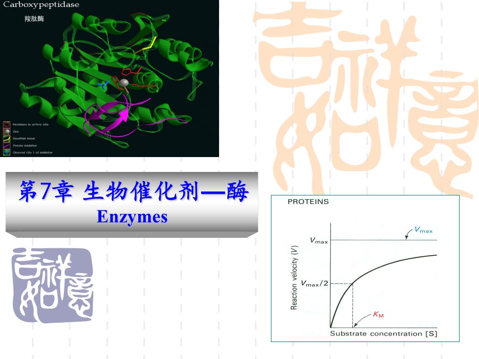 生物酶及测试题答案