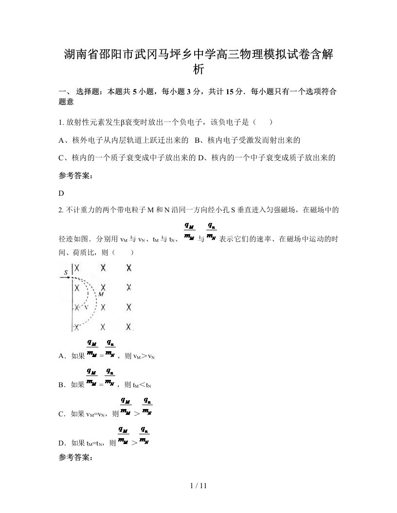 湖南省邵阳市武冈马坪乡中学高三物理模拟试卷含解析