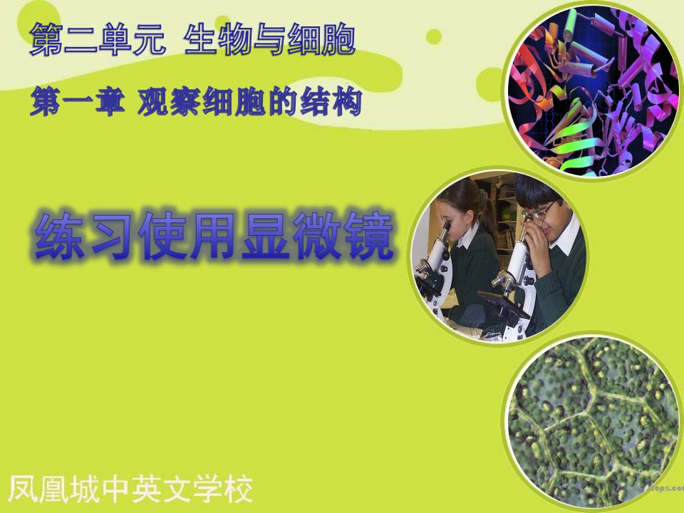 (七年级生物上册第二单元_第一章第一节《练习使用显微镜》PPT课件