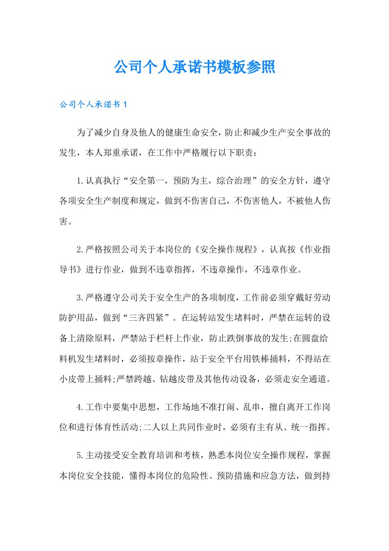 公司个人承诺书模板参照