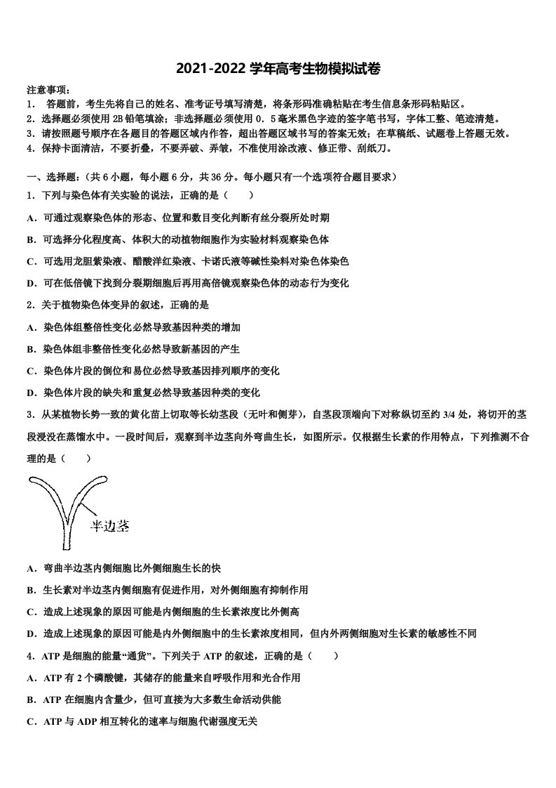 2022届安徽省池州市东至二中高三3月份模拟考试生物试题含解析