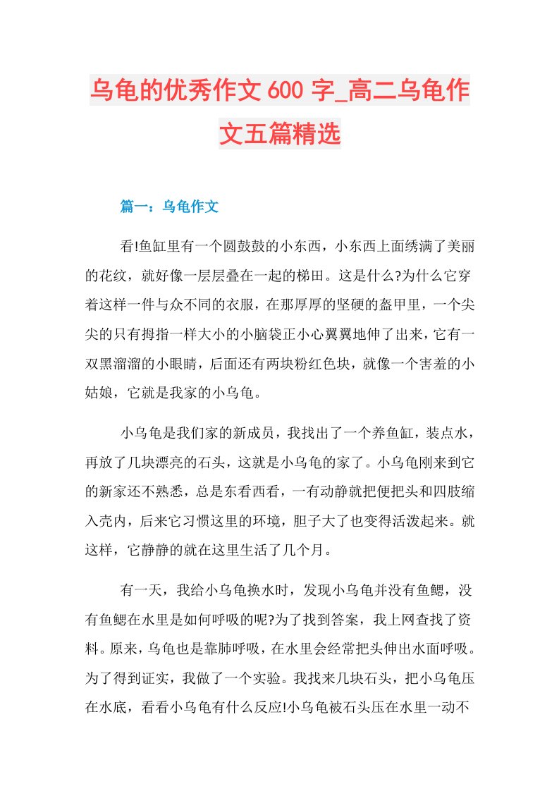 乌龟的优秀作文600字高二乌龟作文五篇精选