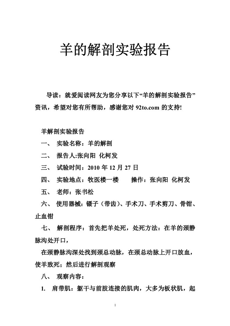 羊的解剖实验报告