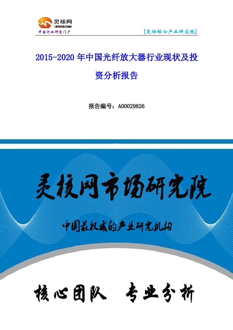 中国光纤放大器行业市场分析与发展趋势研究报告-灵核网