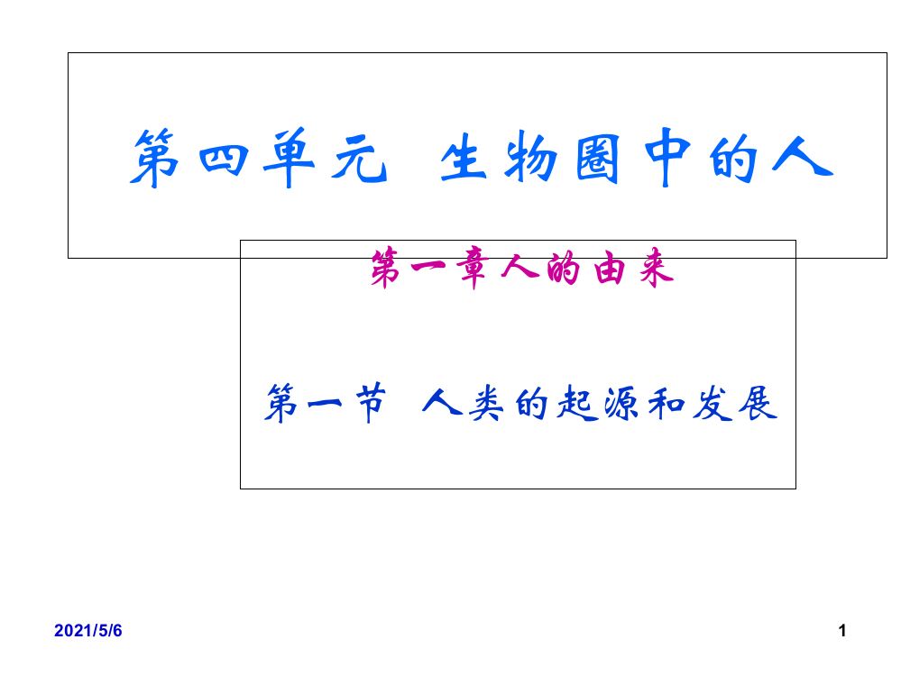 人教版七年级下册生物总复习