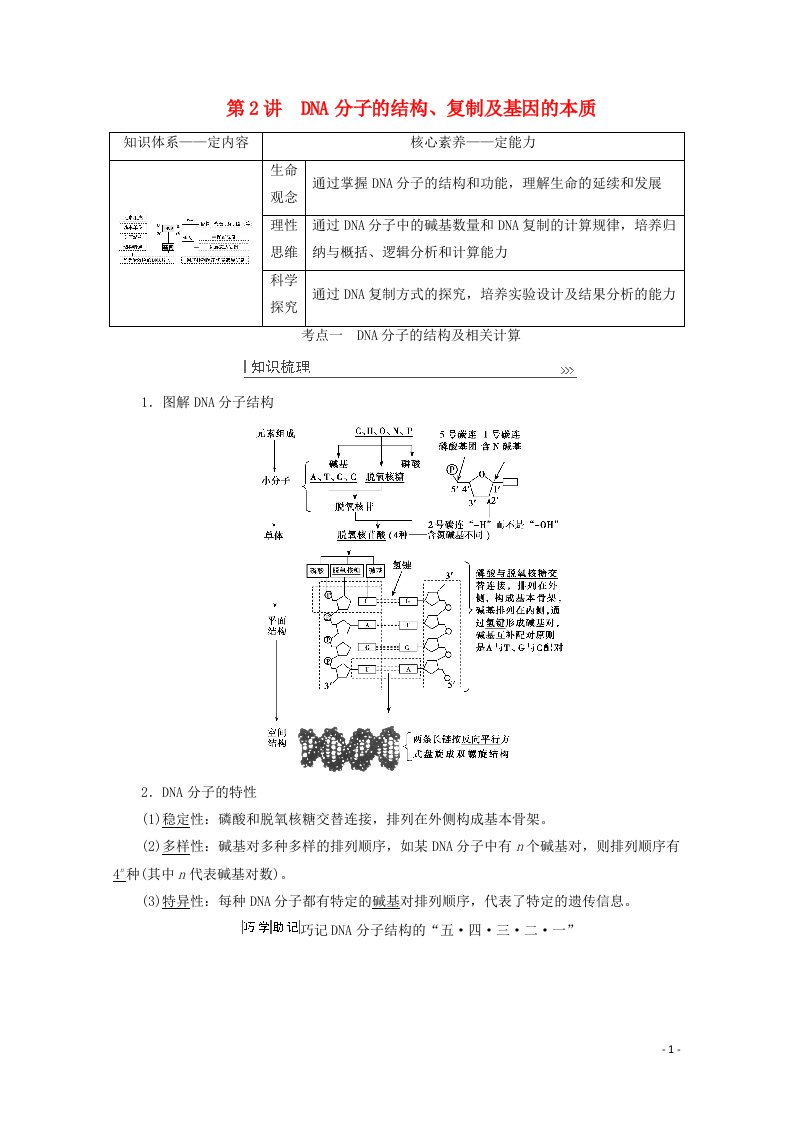 2022届高考生物一轮复习第六单元基因的本质与表达第2讲DNA分子的结构复制及基因的本质教案新人教版