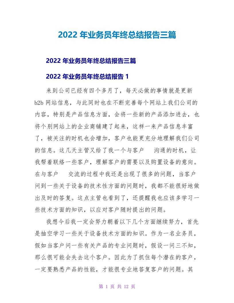 2022年业务员年终总结报告三篇