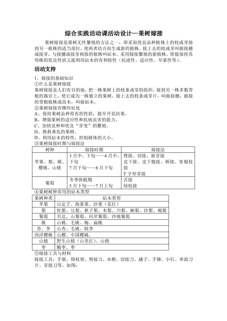 综合实践活动课活动设计—果树嫁接