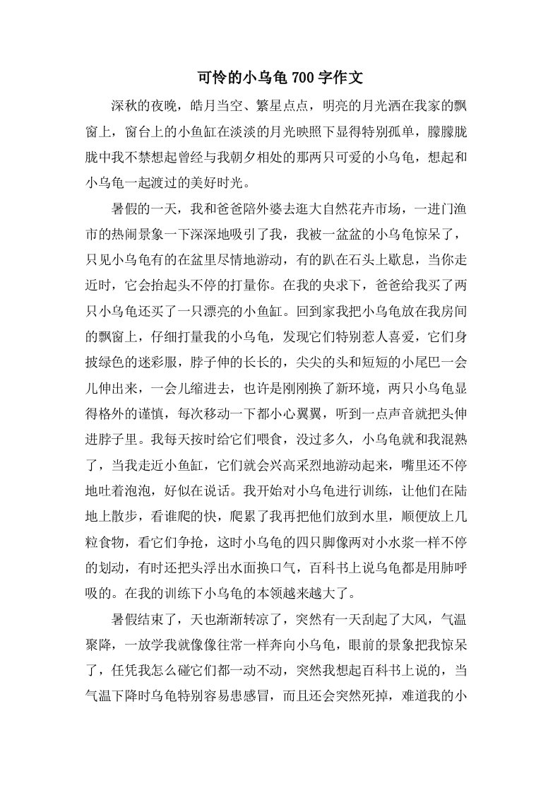 可怜的小乌龟700字作文