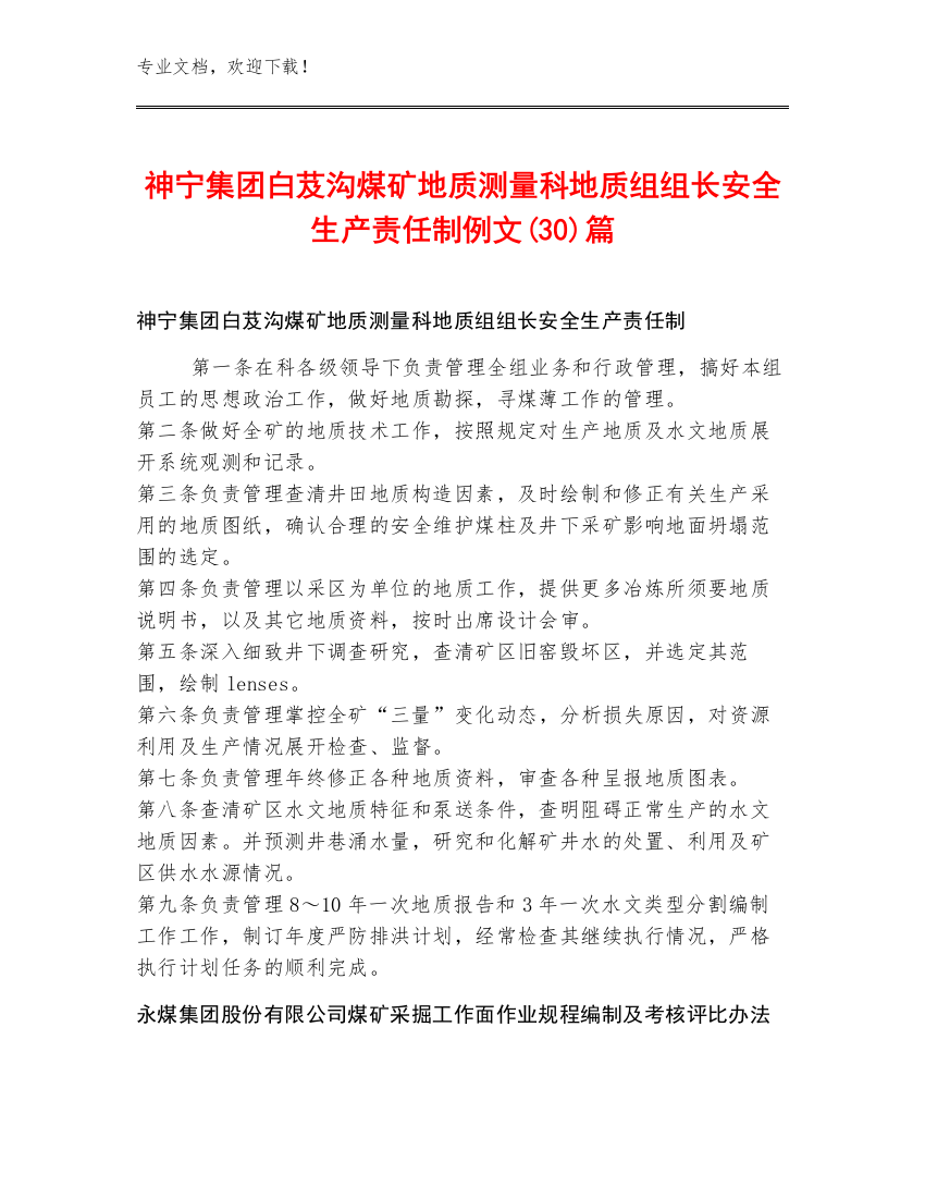 神宁集团白芨沟煤矿地质测量科地质组组长安全生产责任制例文(30)篇