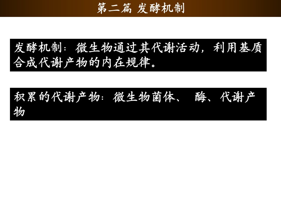 微生物工程工艺原理第三章糖厌气性发酵产物积累机制