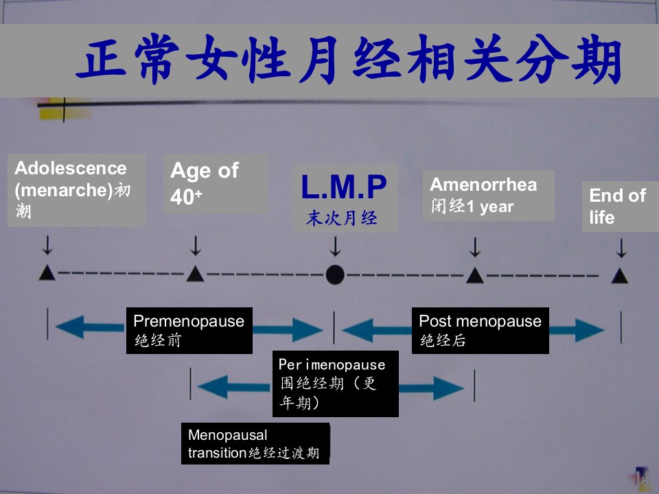 绝经综合征科普活动课件