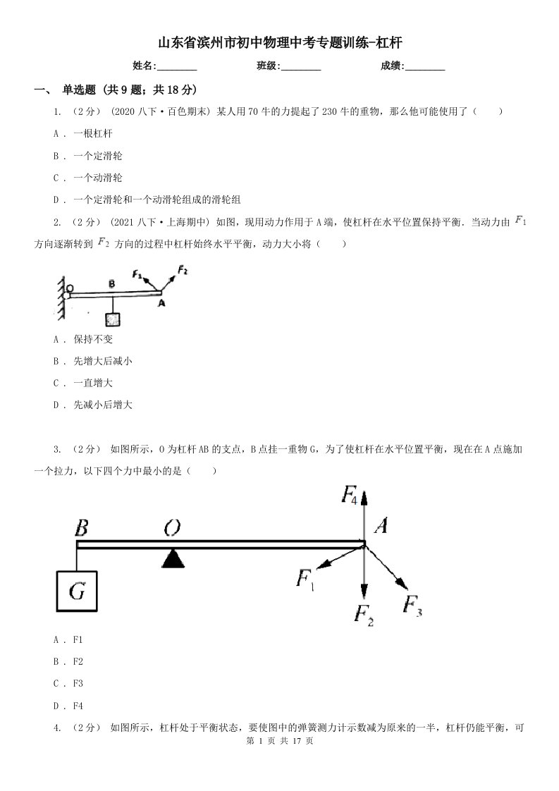 山东省滨州市初中物理中考专题训练-杠杆