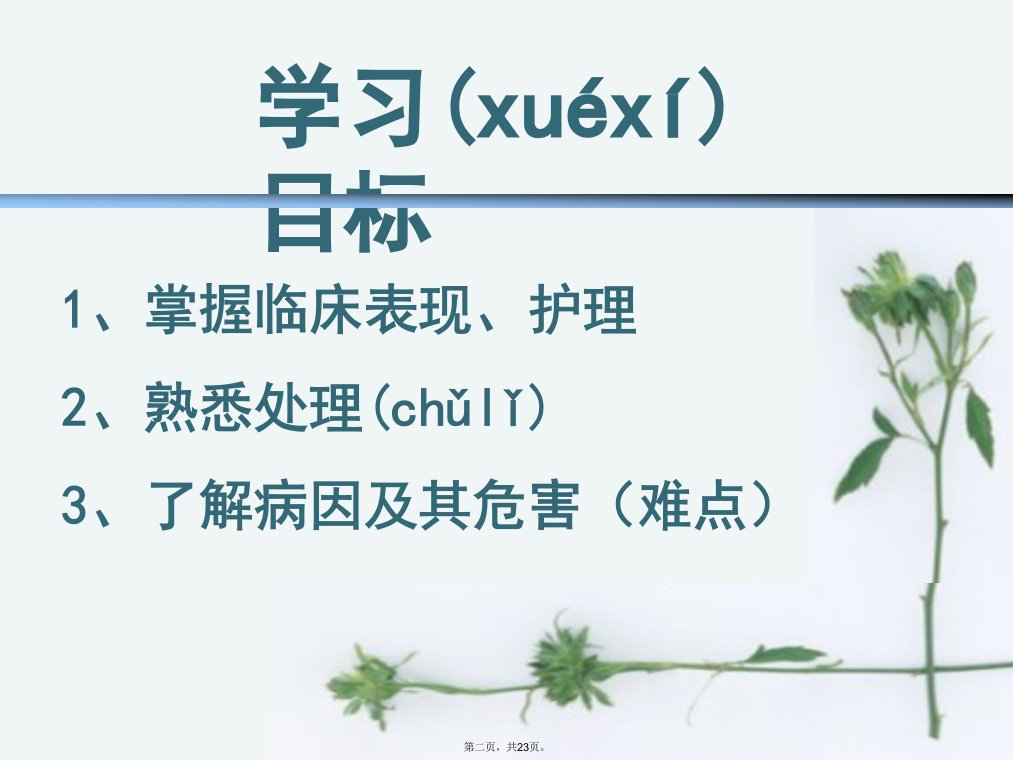 前置胎盘护理课件培训讲学