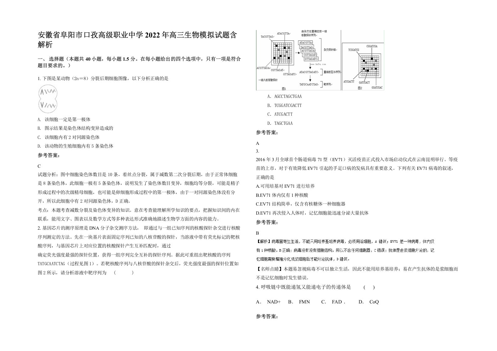 安徽省阜阳市口孜高级职业中学2022年高三生物模拟试题含解析