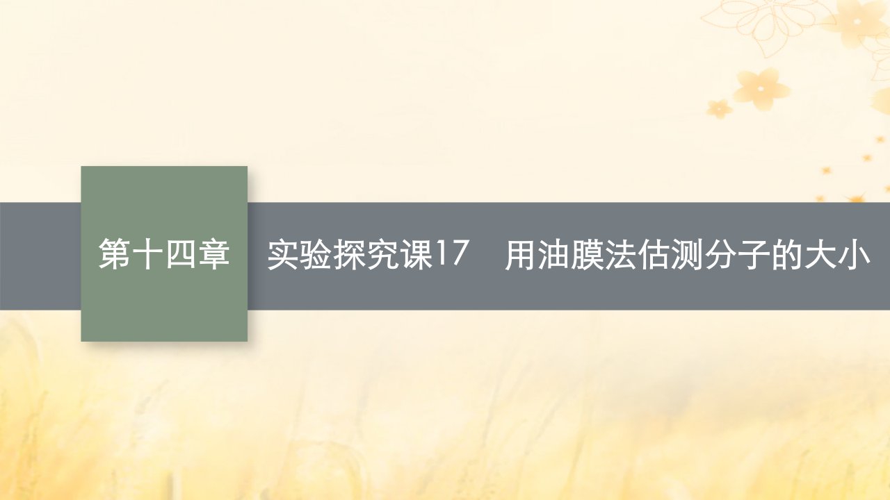 适用于新教材2024版高考物理一轮总复习第14章热学实验探究课17用油膜法估测分子的大形件