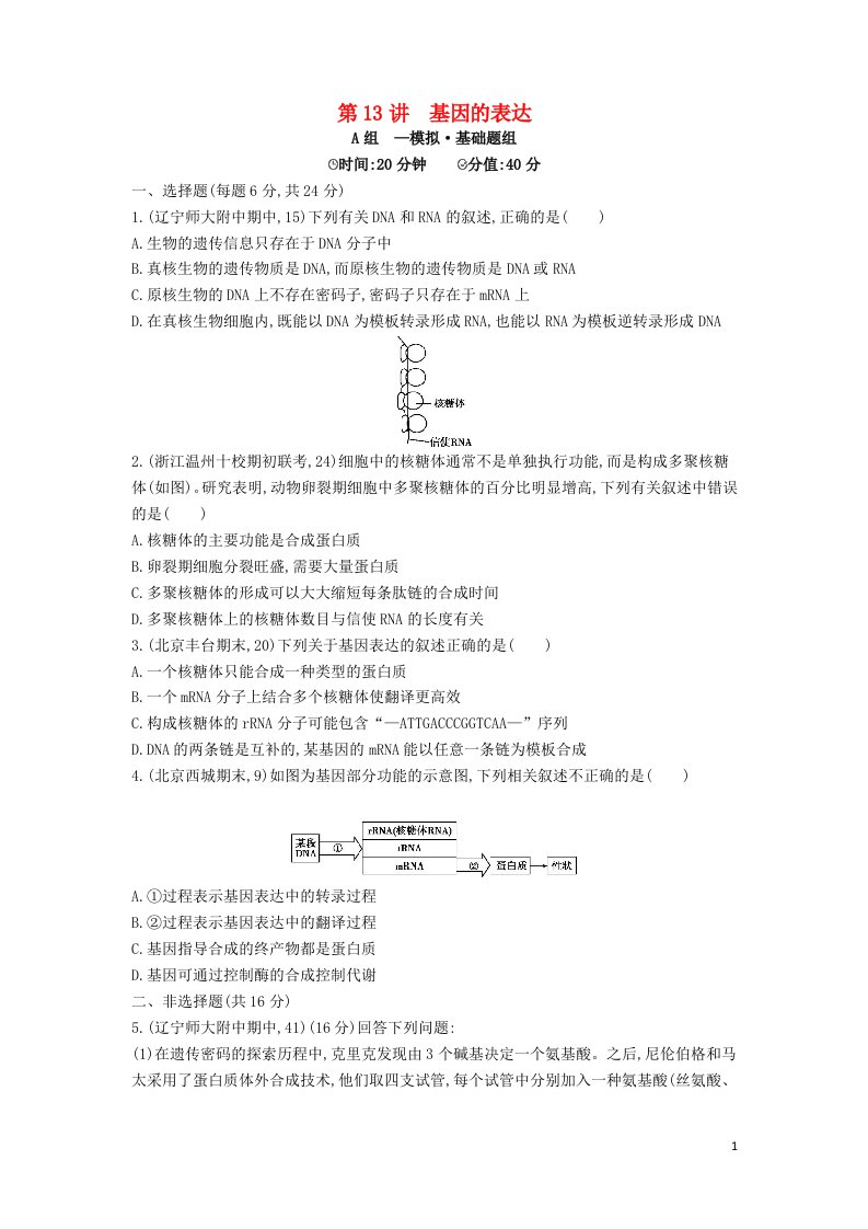 2模拟高三生物第一轮复习