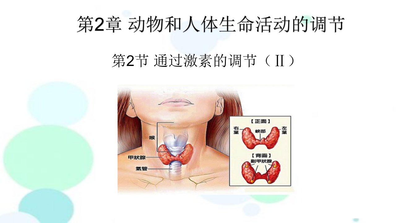 【生物】通过激素的调节教学ppt课件