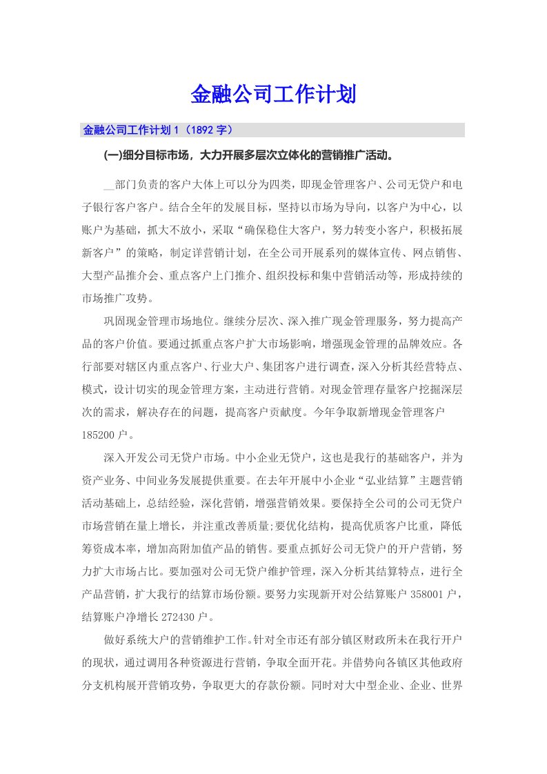 金融公司工作计划