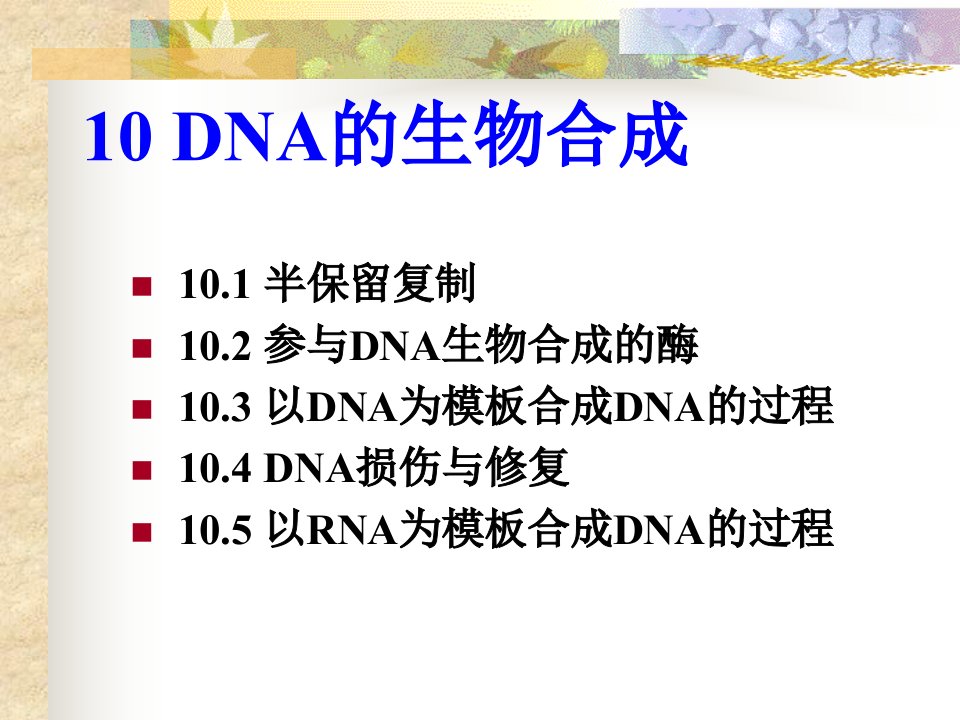 DNA的生物合成课件