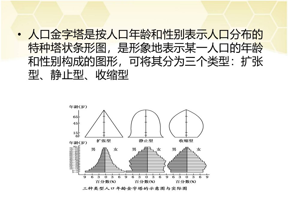 人口金字塔图