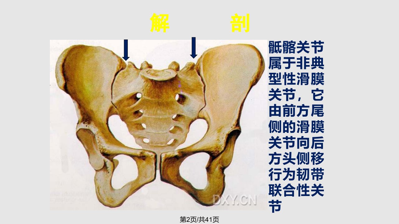 骶髂关节炎病因与治疗