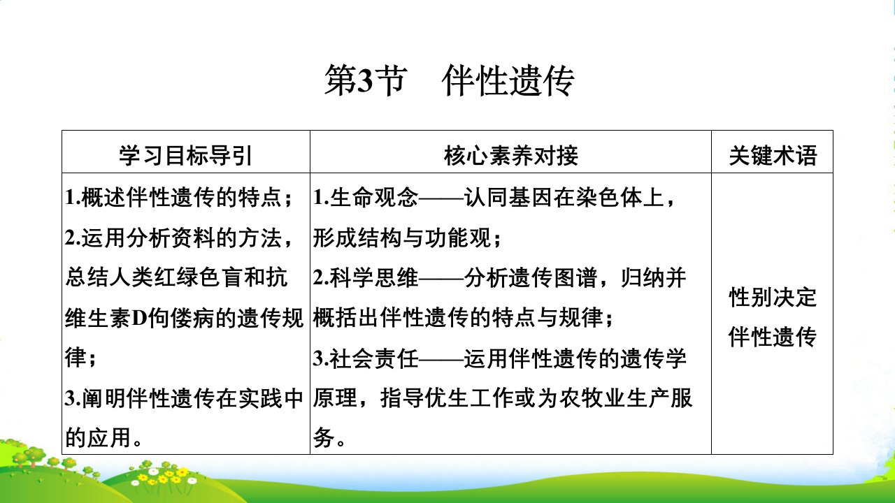 设计生物人教版(课改地区)必修二ppt课件：第2章-基因和染色体的关系-第3节