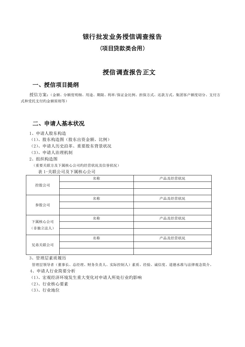 银行专项项目贷款授信调查汇总报告模版