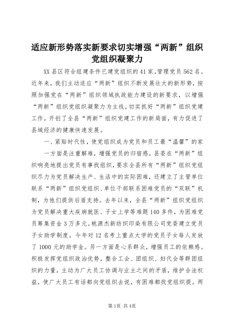 6适应新形势落实新要求切实增强“两新”组织党组织凝聚力