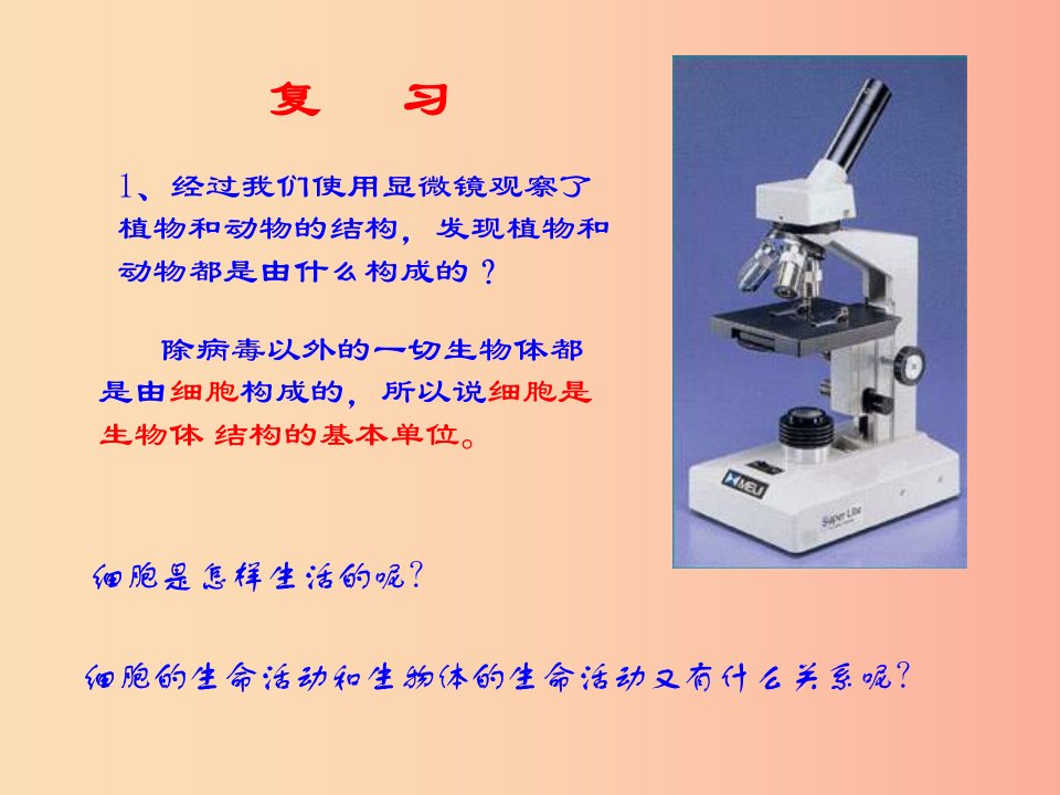 七年级生物上册