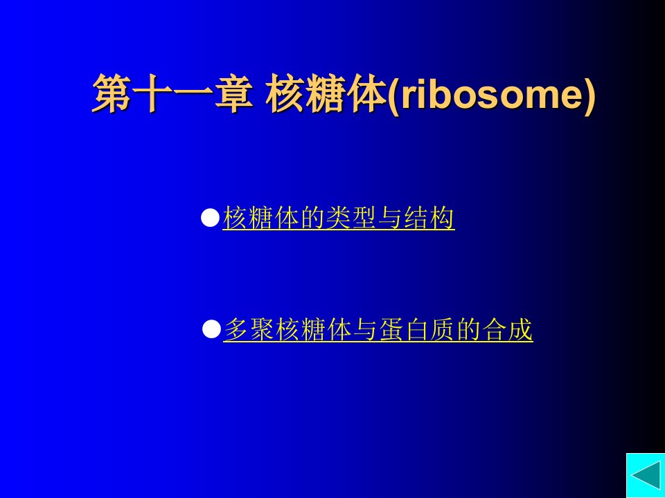 第十一章核糖体ribosomeppt课件