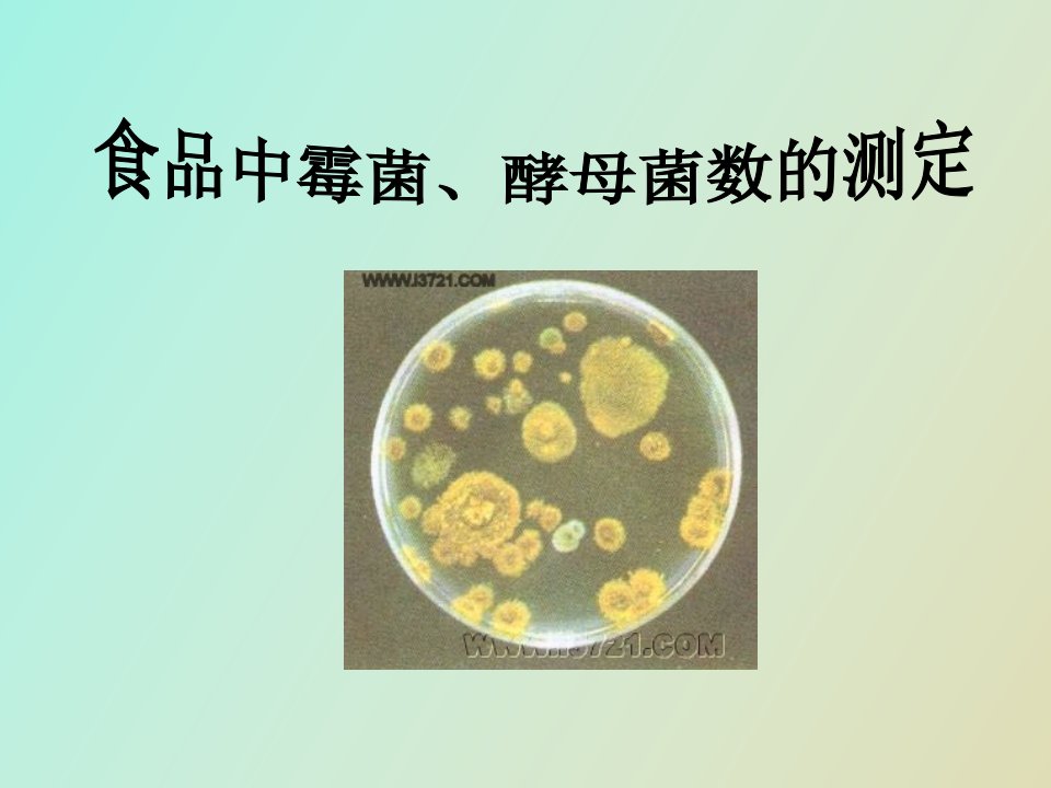 食品中霉菌、酵母菌数的测定