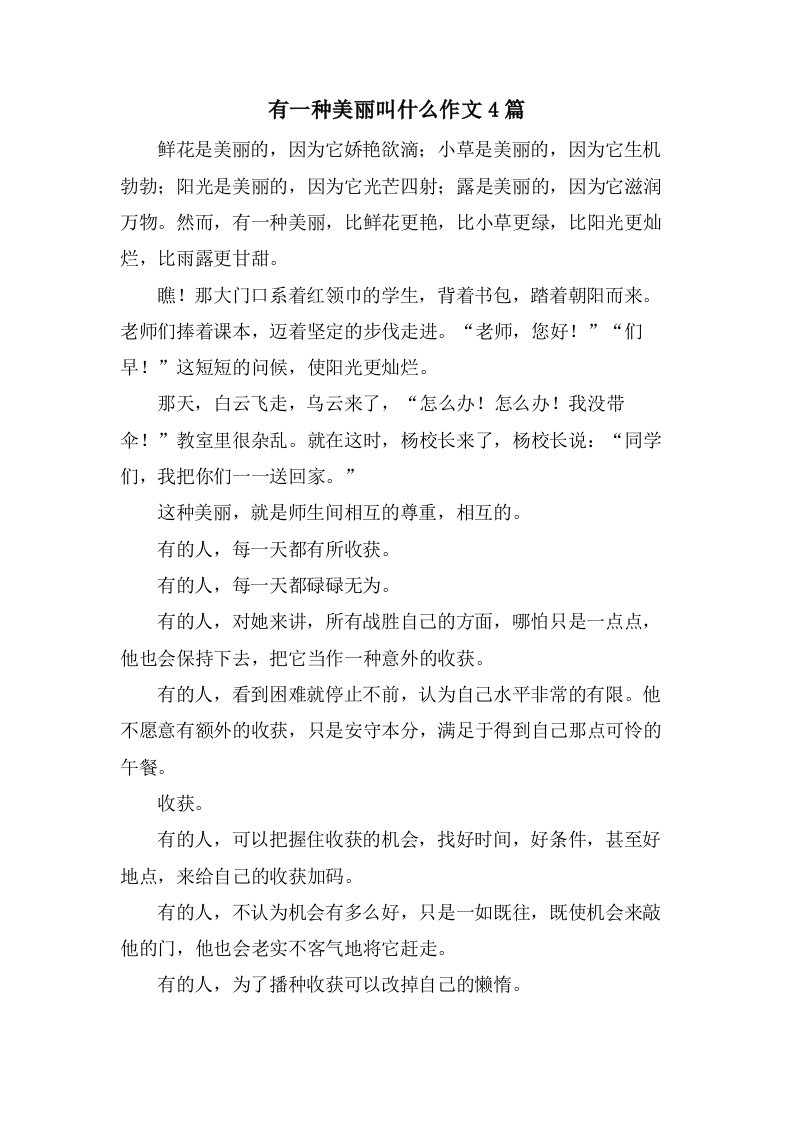 有一种美丽叫什么作文4篇