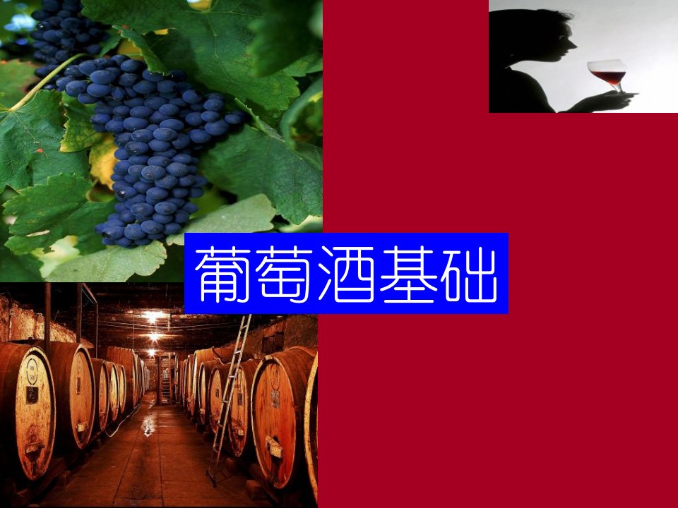 《葡萄酒基础》PPT课件