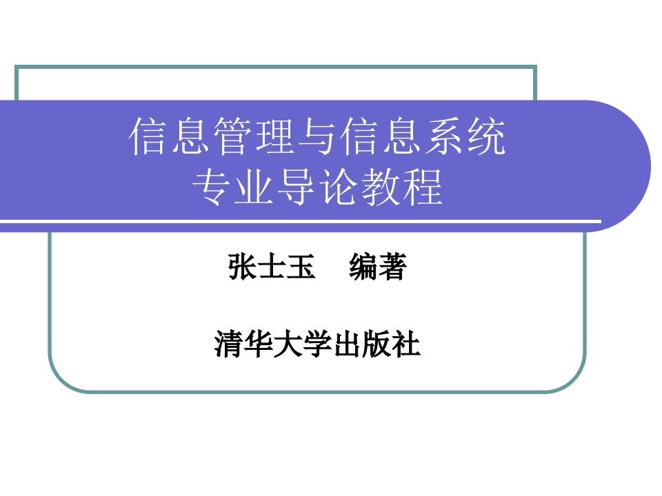 信息管理与信息系统专业导论教程